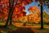 De 10 mooiste herfstwandelingen