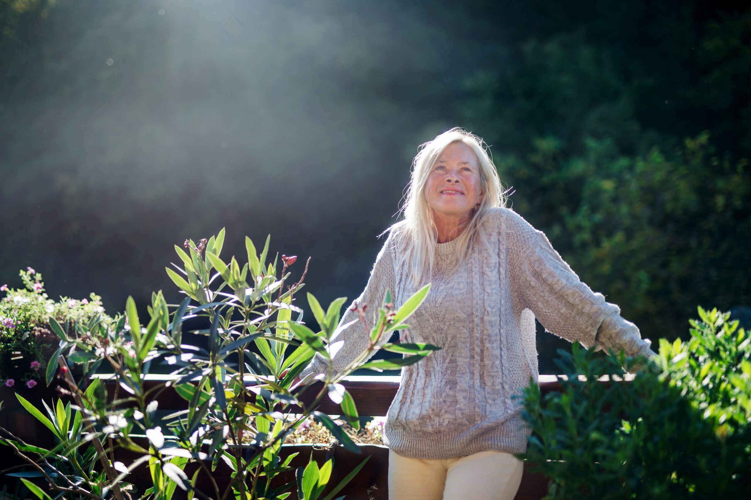 Zon en vitamine D